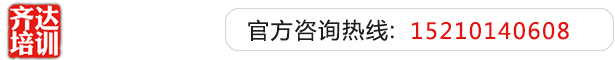 抽查干美女小说视频齐达艺考文化课-艺术生文化课,艺术类文化课,艺考生文化课logo